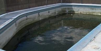 Xử lý nước bể bơi nhiễm tảo đen