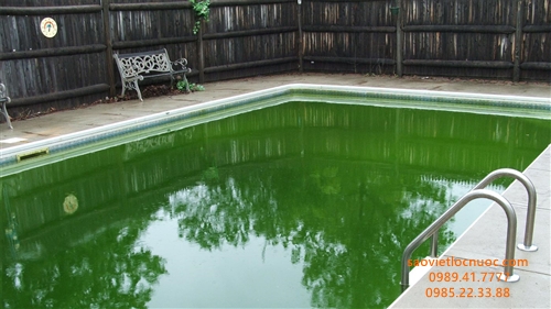 Tại sao bể bơi bị xanh sau khi trời mưa
